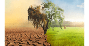 5 Effective Solutions to Minimize Environmental Risks and Damage