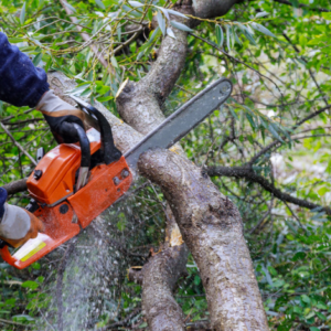Safety Toolbox Talk: Chainsaws