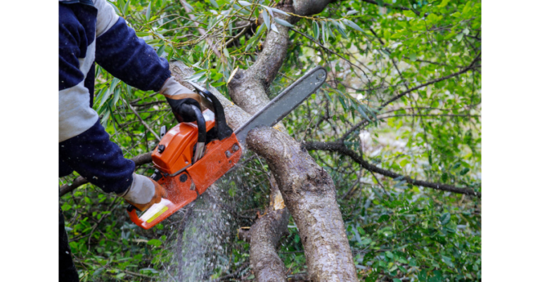 safety-toolbox-talk-chainsaws