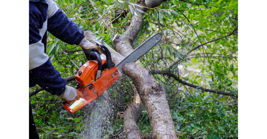 Safety Toolbox Talk Chainsaws