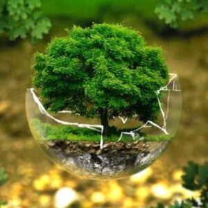 Environmental Awareness: Preserving the Future of Our Planet