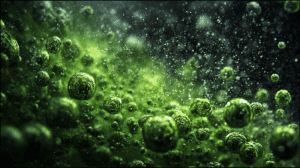 Toolbox Talk – Water Pollution – Our Environmental Responsibility